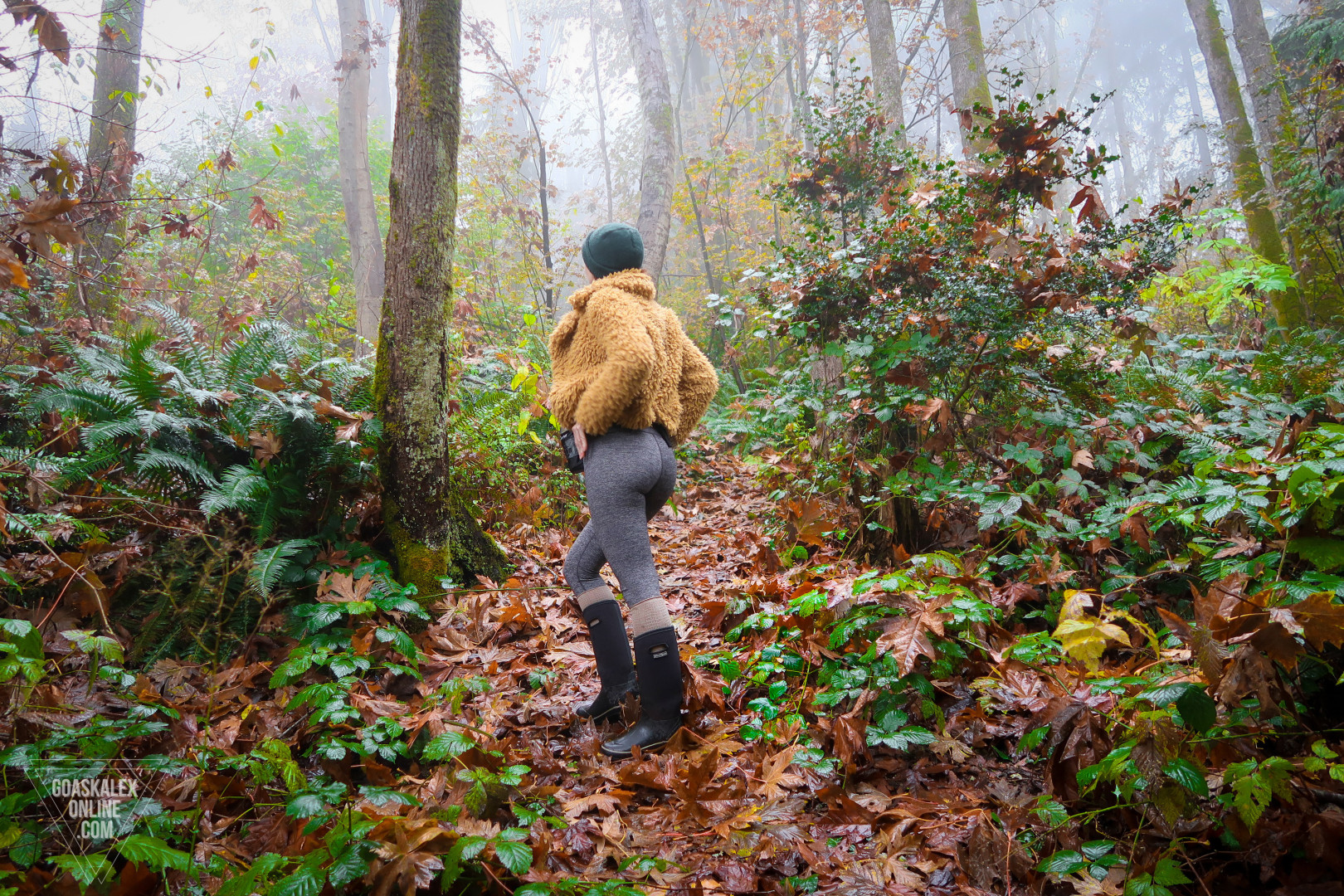 Photo by goaskalex published on October 17,2023 07:22:12 - BestThots