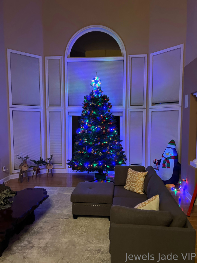 Photo by jewels_jade_vip published on June 8,2023 22:22:28 - BestThots