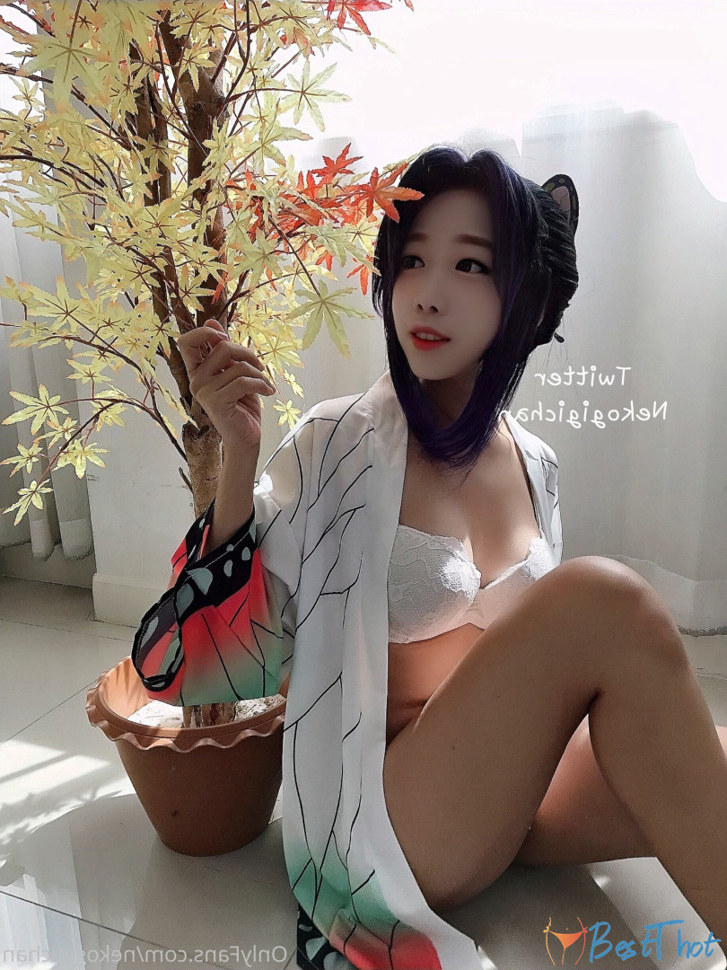 nekogigichan #9545896
