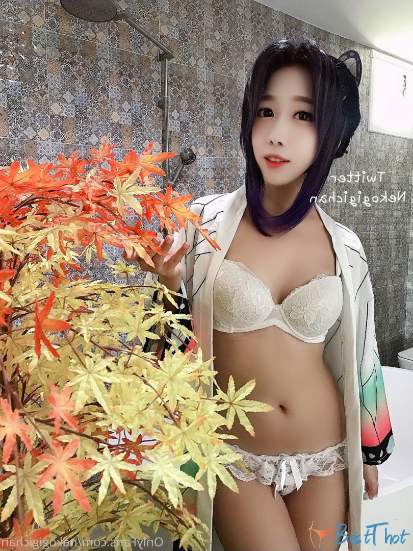nekogigichan #9545908