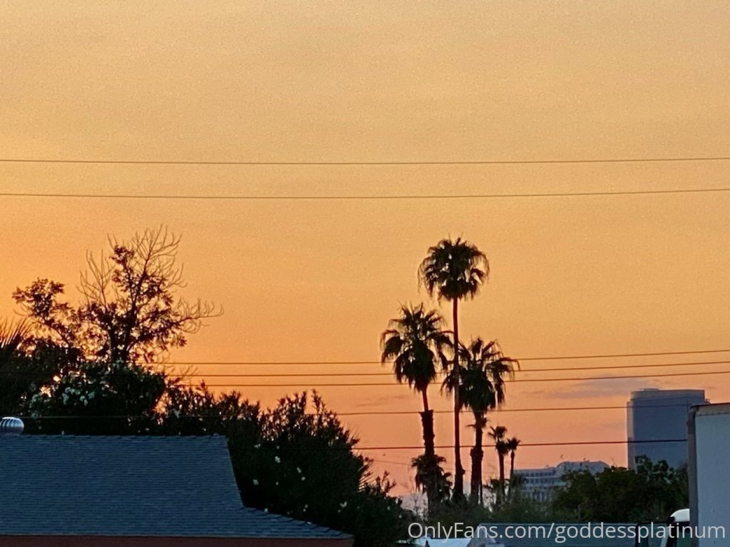 Photo by goddessplatinum published on October 14,2023 22:36:28 - BestThots