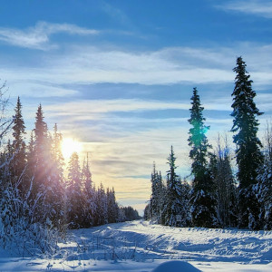 snow.bunny907 #185447