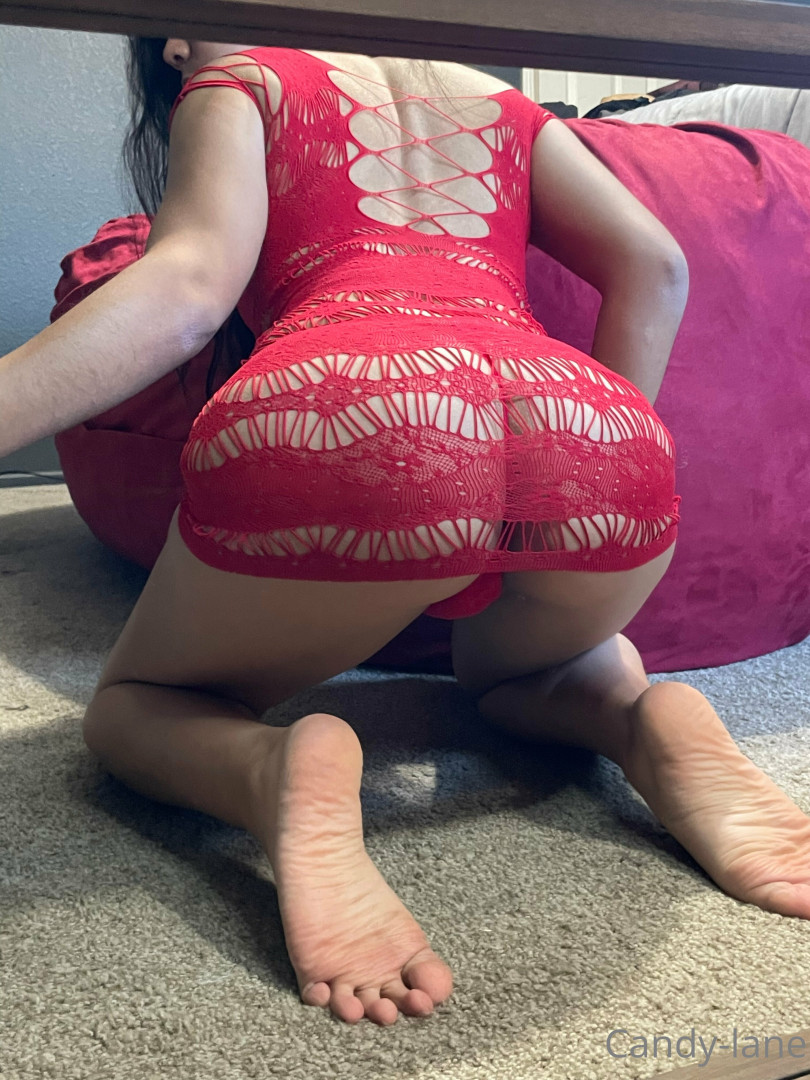 Photo by candy-lane published on May 29,2023 11:38:12 - BestThots