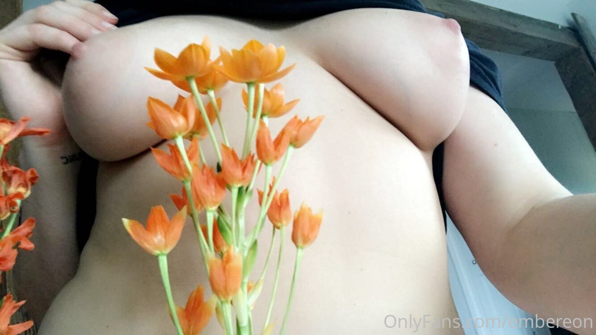 Photo by embereon published on June 28,2023 09:40:16 - BestThots