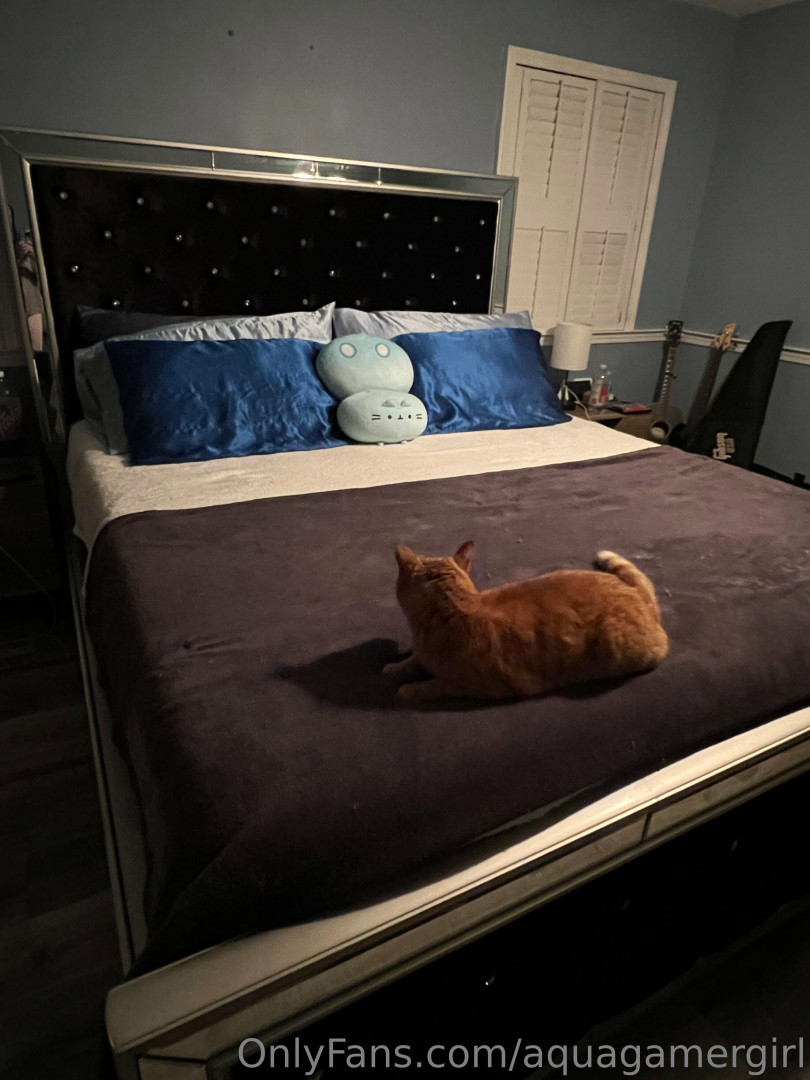 Photo by aquagamergirl published on July 29,2023 19:51:03 - BestThots