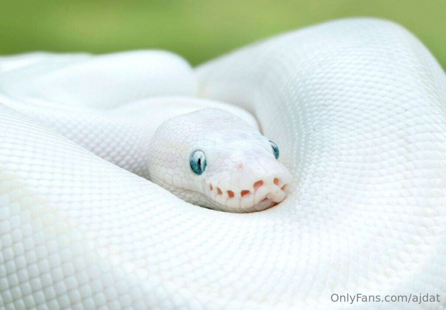 Photo by ajdat published on November 20,2023 05:40:03 - BestThots