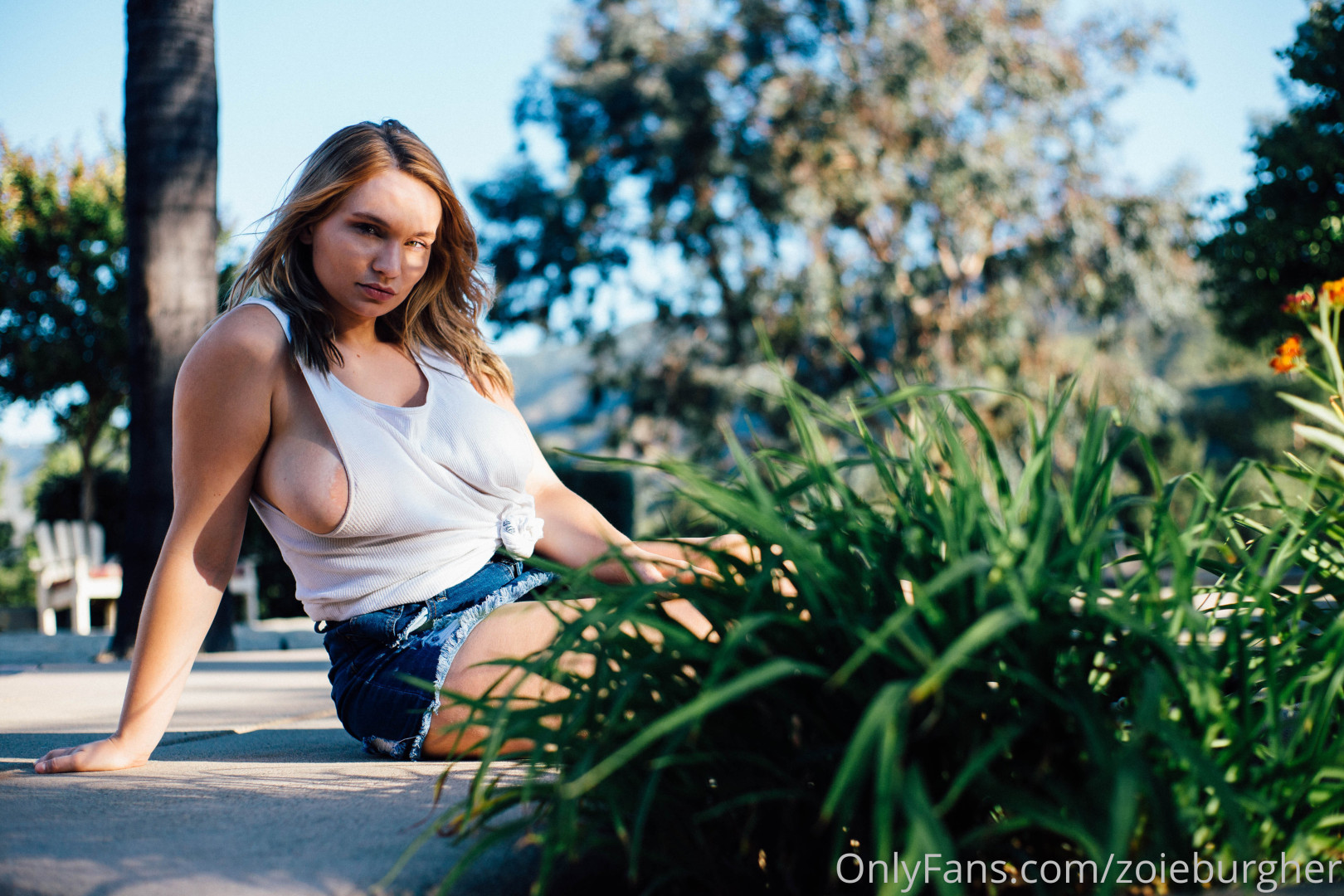 Photo by zoieburgher published on October 24,2023 22:06:55 - BestThots