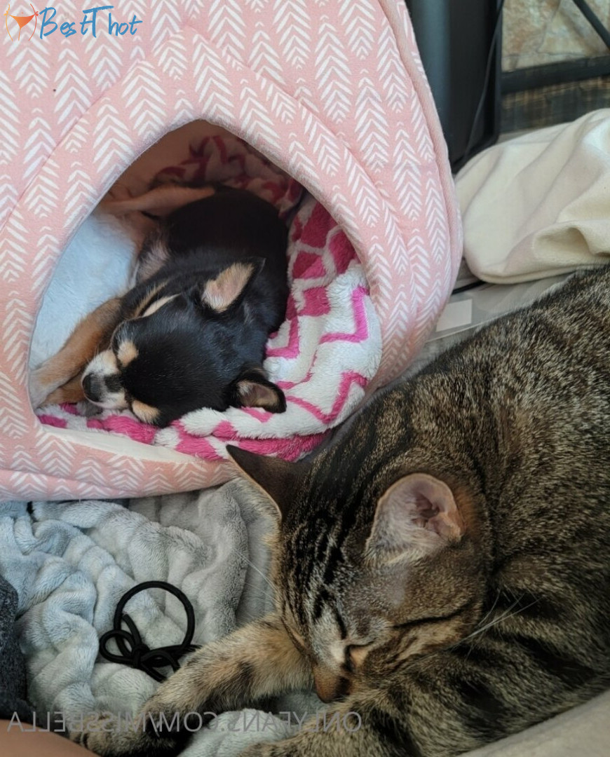 Photo by missbella published on December 12,2024 09:40:04 - BestThots