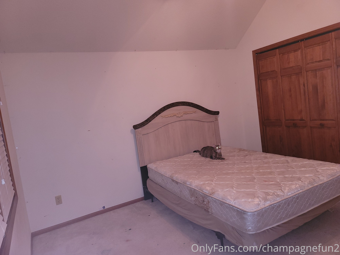 Photo by champagnefun2 published on May 29,2023 07:10:52 - BestThots