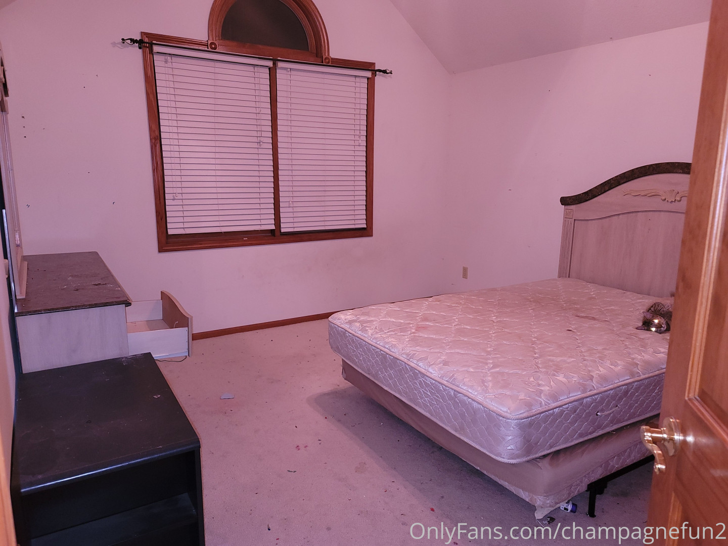 Photo by champagnefun2 published on May 29,2023 07:15:22 - BestThots