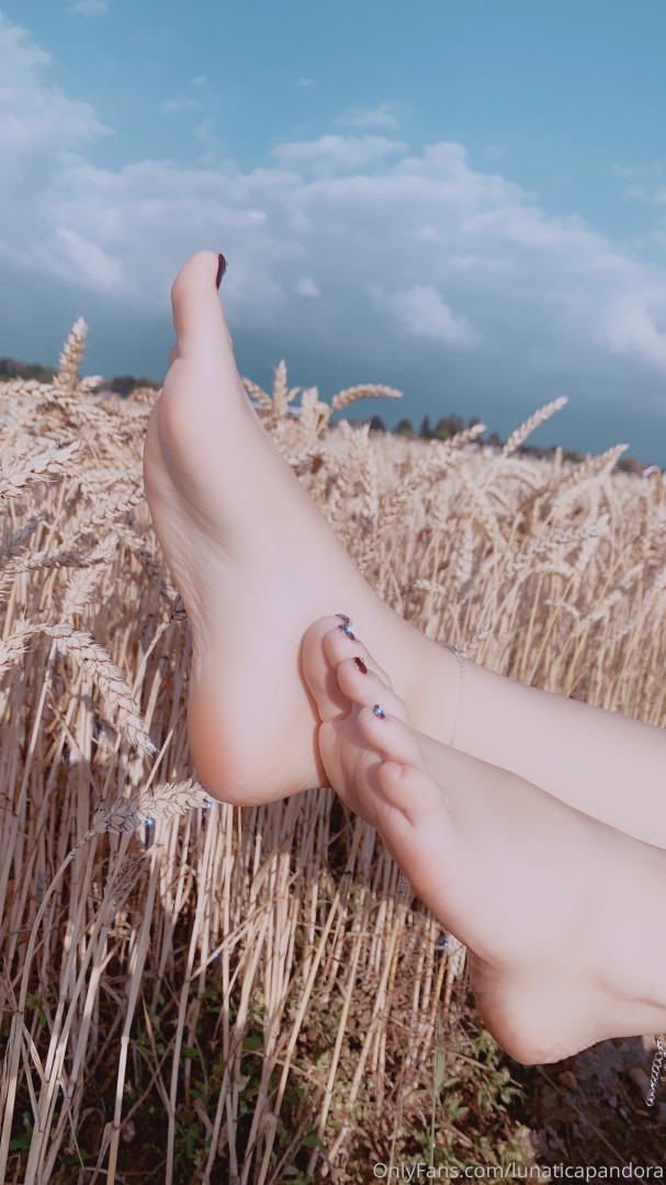 Photo by lunaticapandora published on October 17,2023 03:18:57 - BestThots