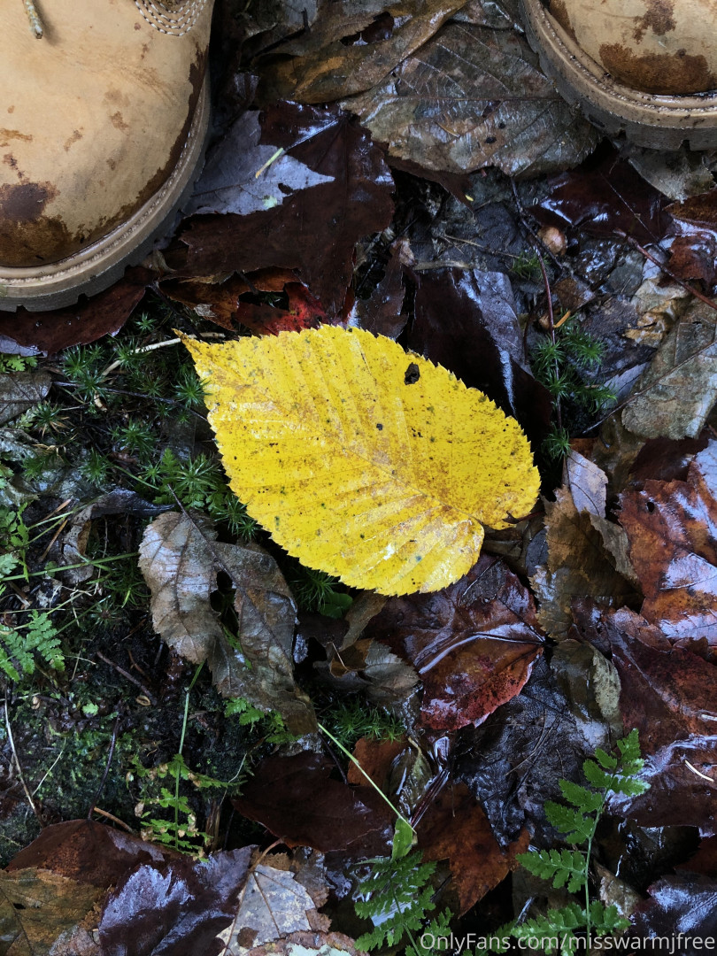 Photo by misswarmjfree published on August 2,2023 22:34:58 - BestThots