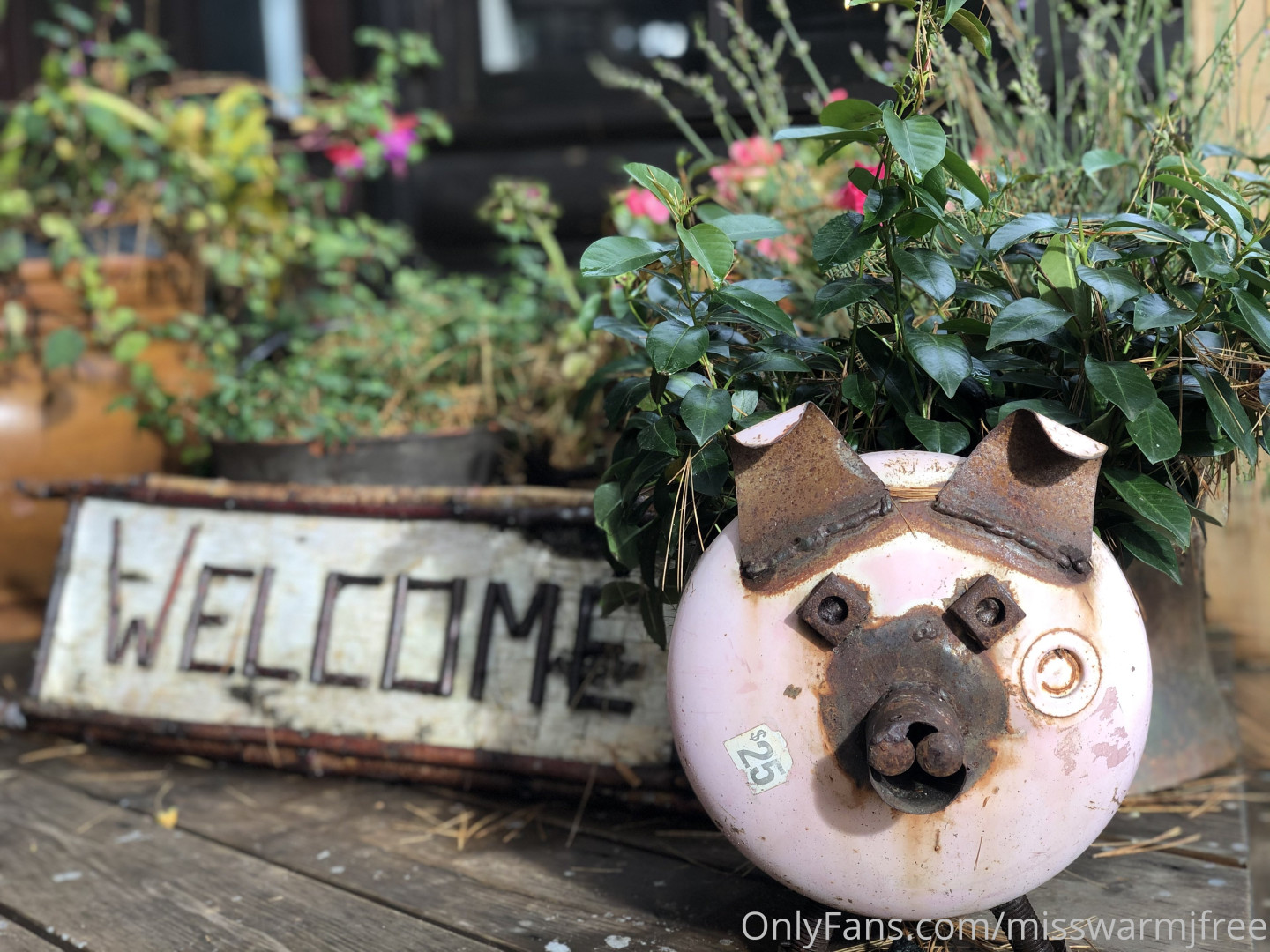 Photo by misswarmjfree published on August 2,2023 22:37:05 - BestThots