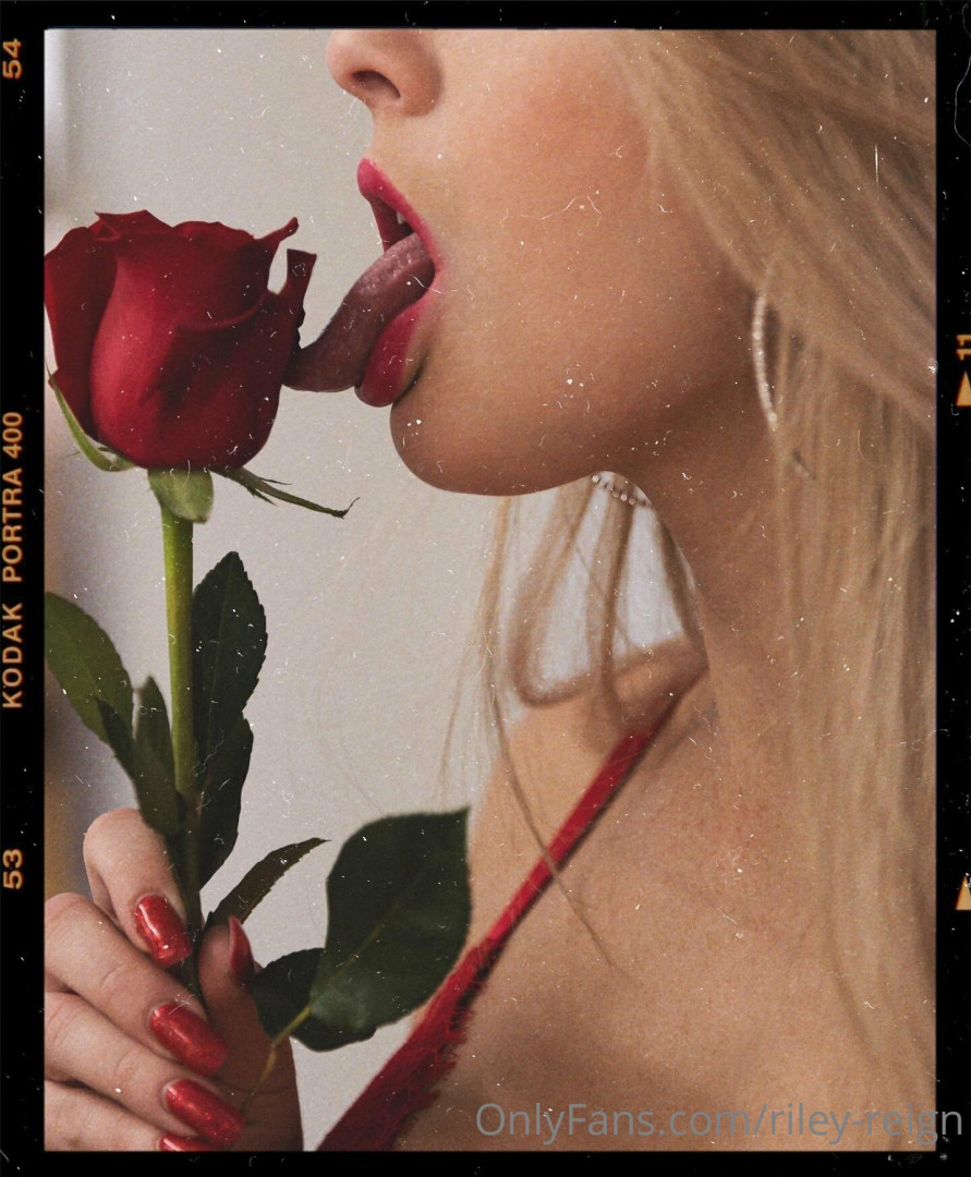 Photo by riley-reign published on August 16,2023 17:32:35 - BestThots