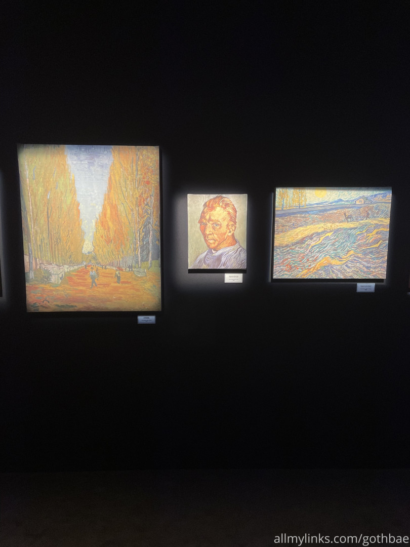 Photo by yubaba_yaga published on May 15,2023 17:46:51 - BestThots