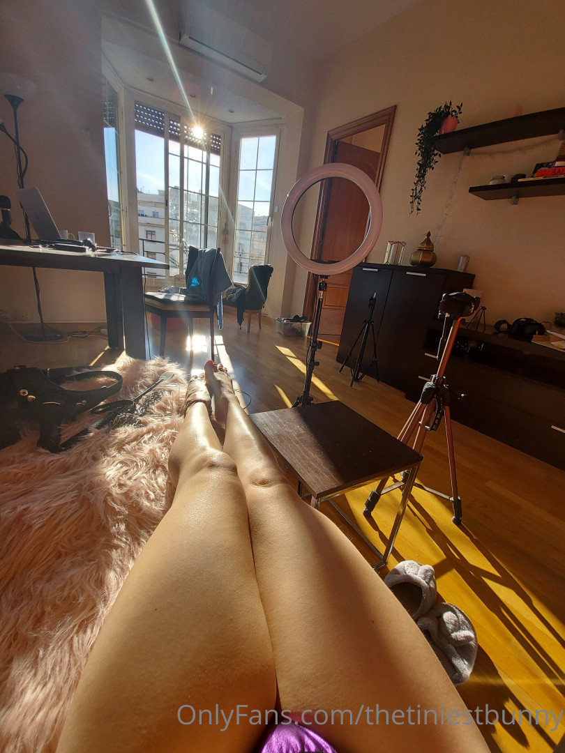 Photo by thetiniestbunny published on July 27,2023 18:09:18 - BestThots