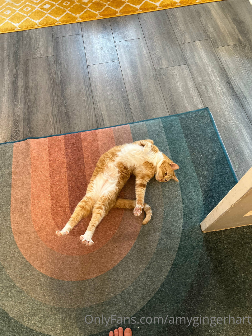 Photo by amygingerhart published on September 1,2023 14:50:19 - BestThots