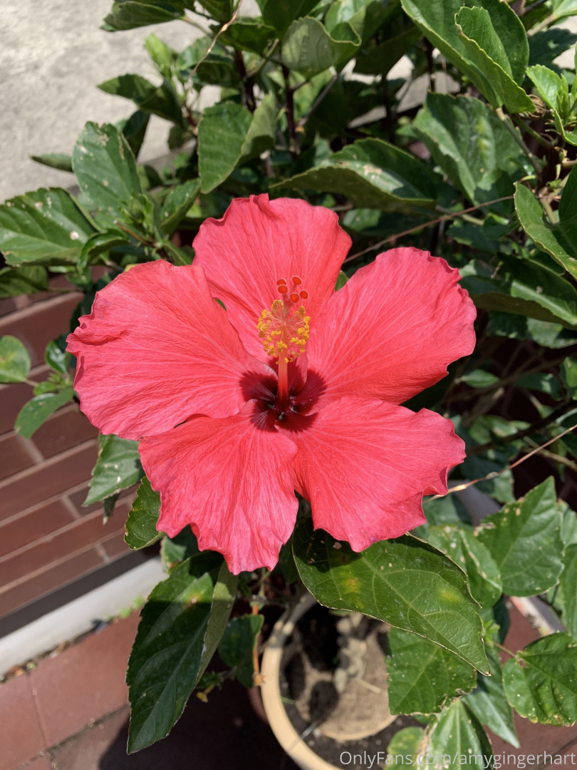 Photo by amygingerhart published on September 2,2023 00:57:14 - BestThots