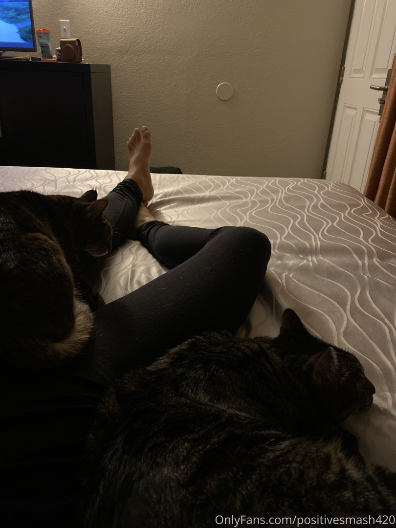 Photo by positivesmash420 published on June 15,2023 03:49:24 - BestThots