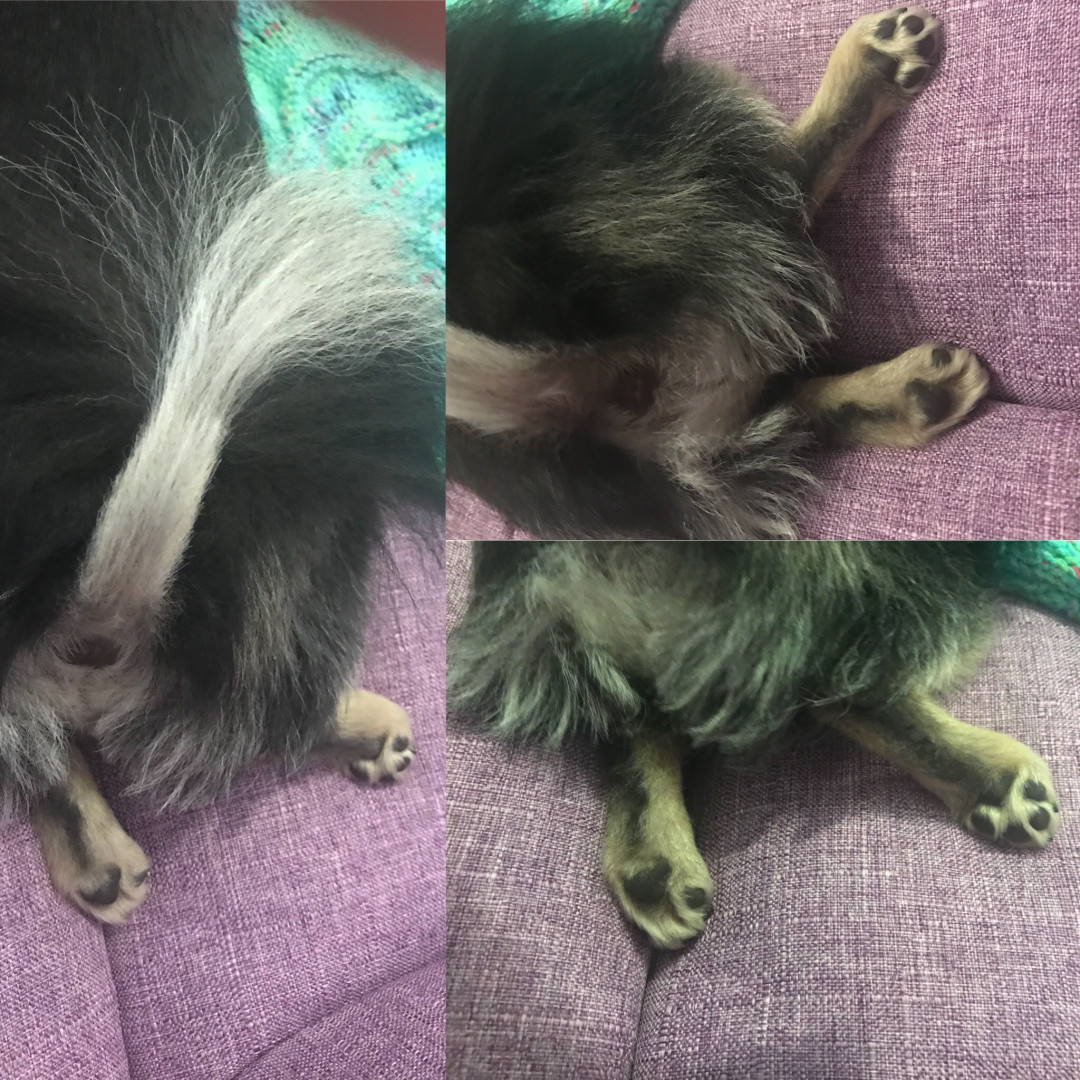 Photo by elenakoshkaxoxo published on January 14,2024 21:56:07 - BestThots