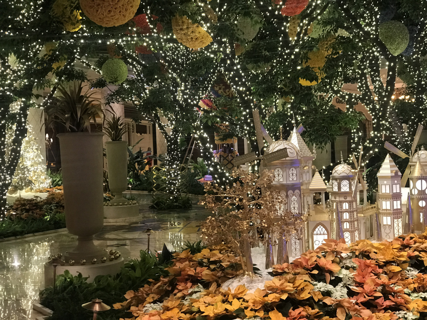 Photo by elenakoshkaxoxo published on January 14,2024 21:56:20 - BestThots