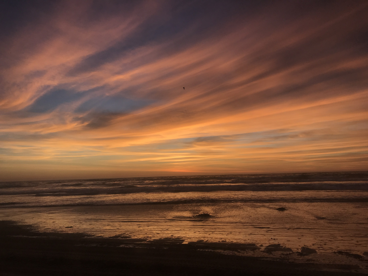 Photo by elenakoshkaxoxo published on January 14,2024 21:57:55 - BestThots