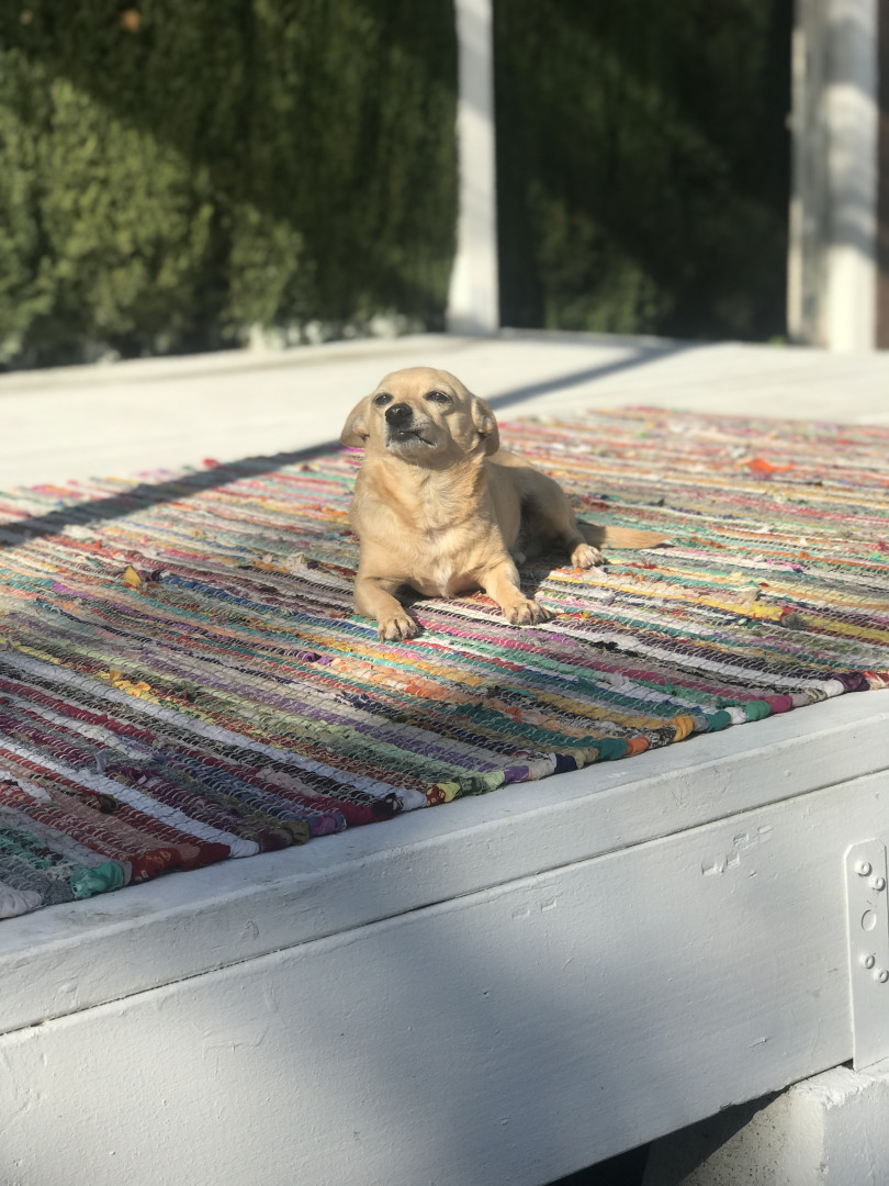 Photo by elenakoshkaxoxo published on January 14,2024 21:59:17 - BestThots