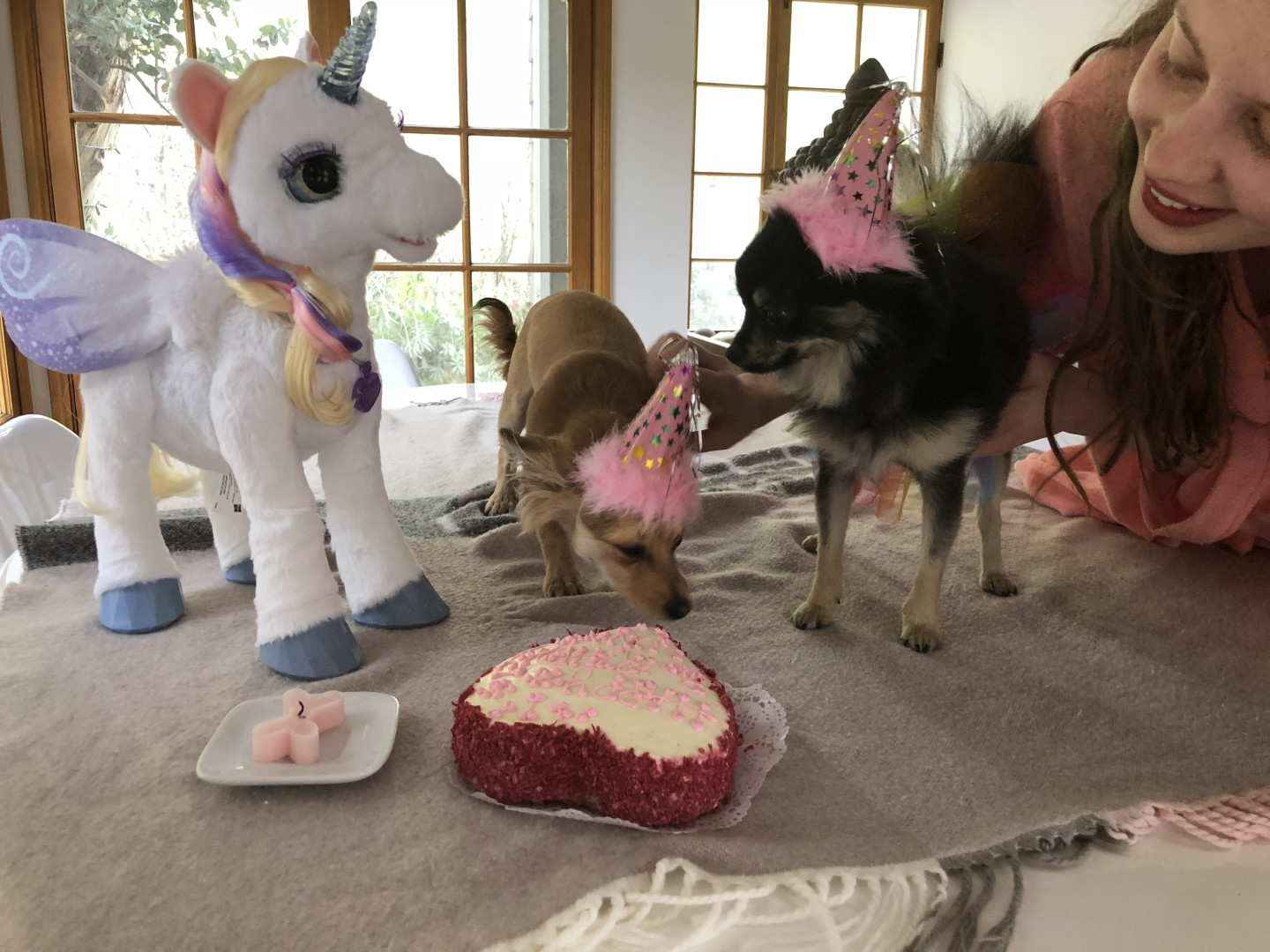 Photo by elenakoshkaxoxo published on January 14,2024 21:59:39 - BestThots