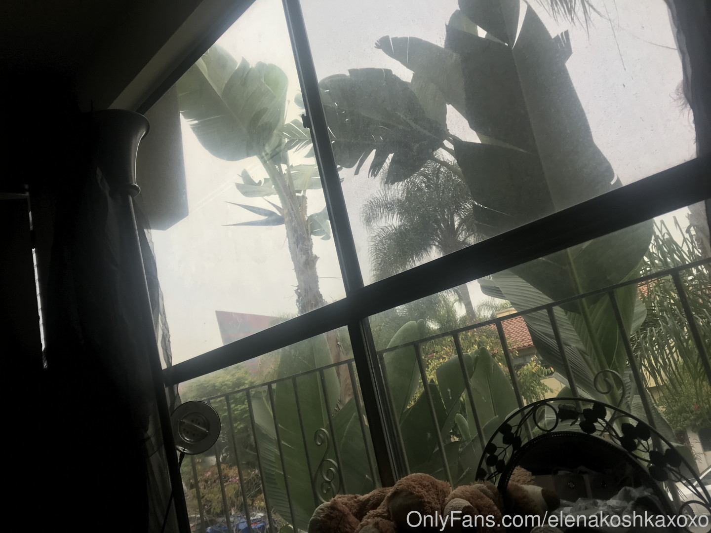 Photo by elenakoshkaxoxo published on January 14,2024 21:59:43 - BestThots