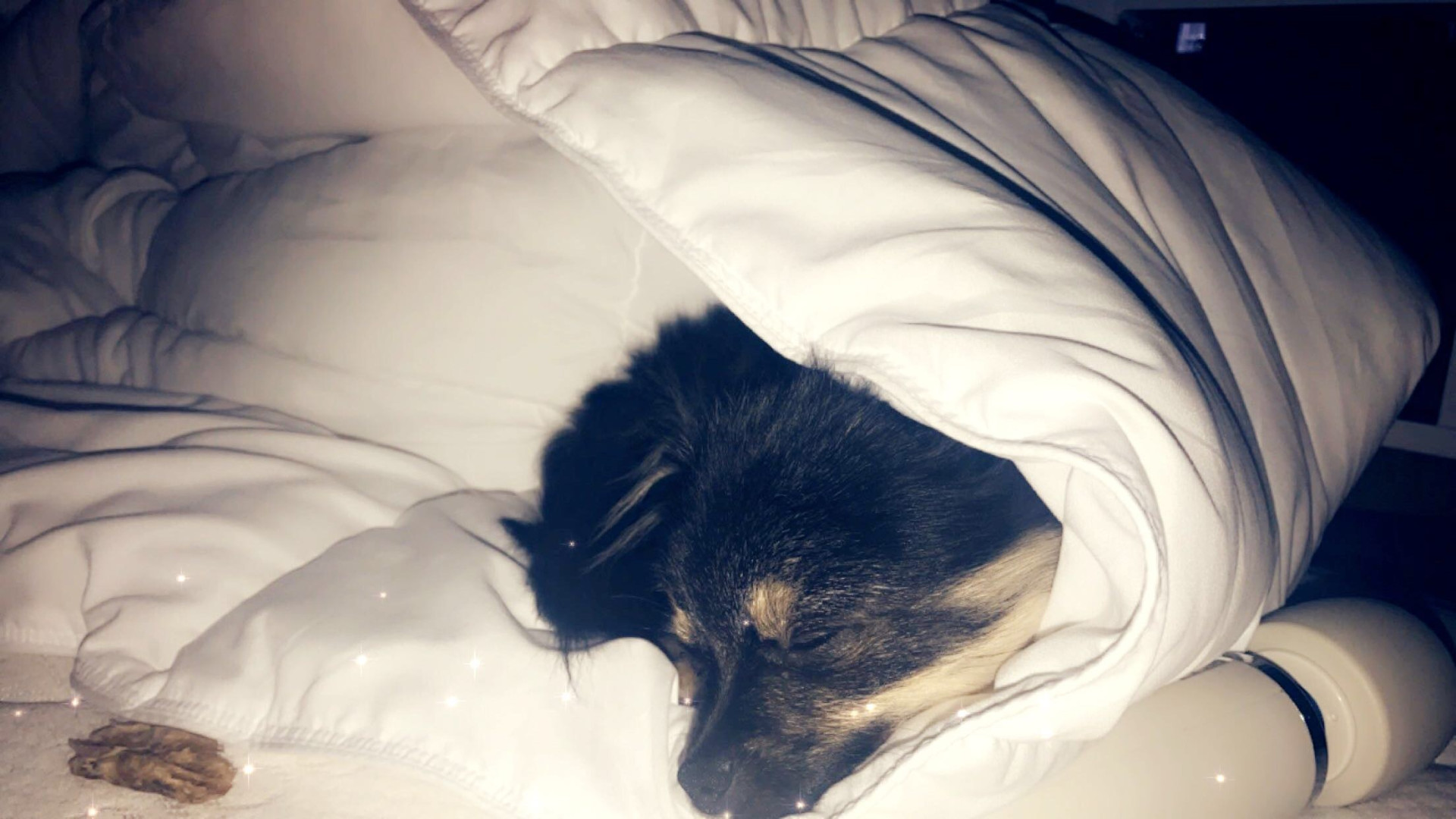 Photo by elenakoshkaxoxo published on January 14,2024 21:59:44 - BestThots