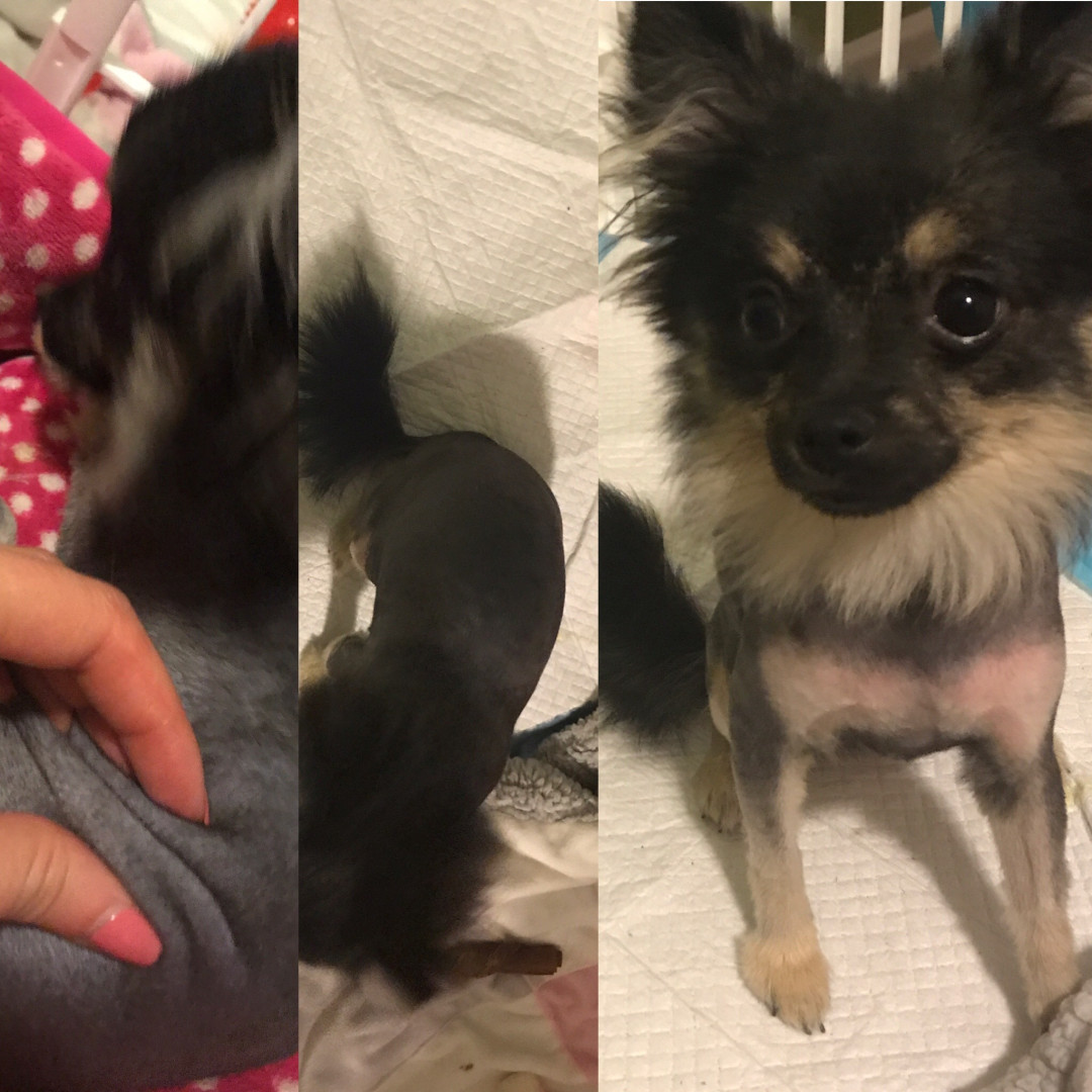 Photo by elenakoshkaxoxo published on January 14,2024 21:59:45 - BestThots