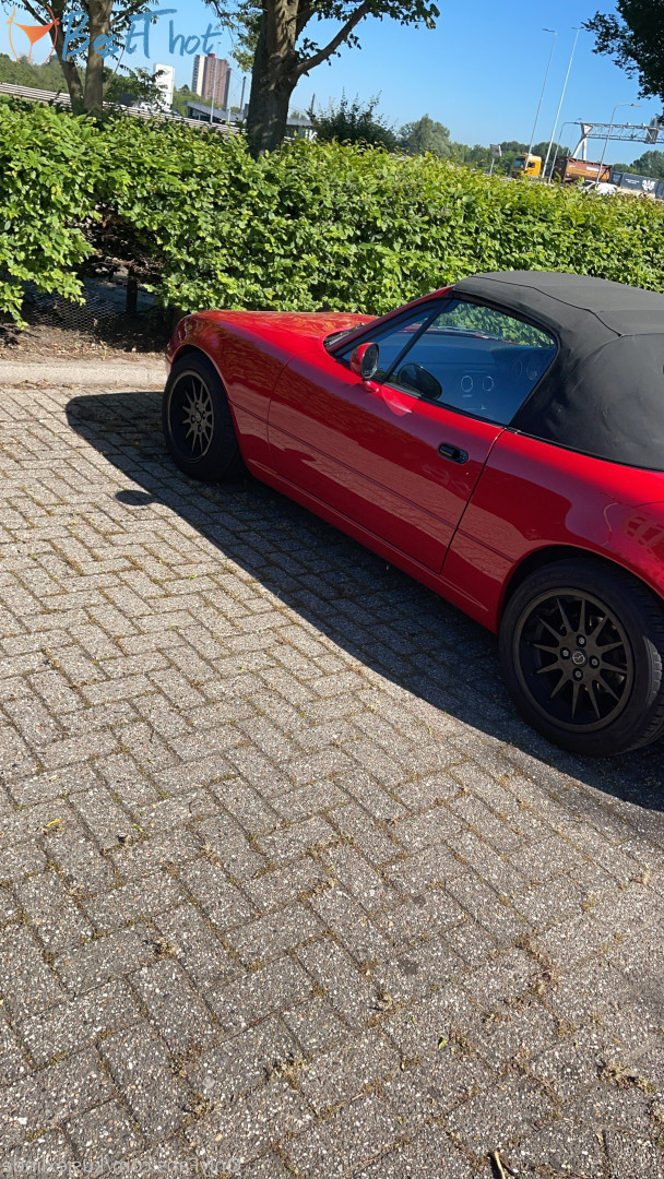 kusjexlinde #9500108