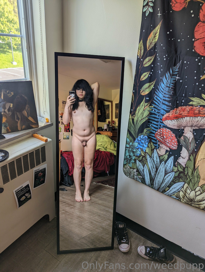 Photo by weedpupp published on May 16,2023 01:48:06 - BestThots