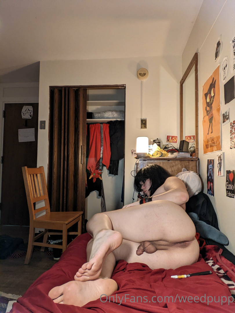 Photo by weedpupp published on May 16,2023 01:53:48 - BestThots
