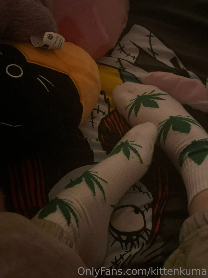 Photo by kittenkuma published on June 23,2023 08:52:13 - BestThots