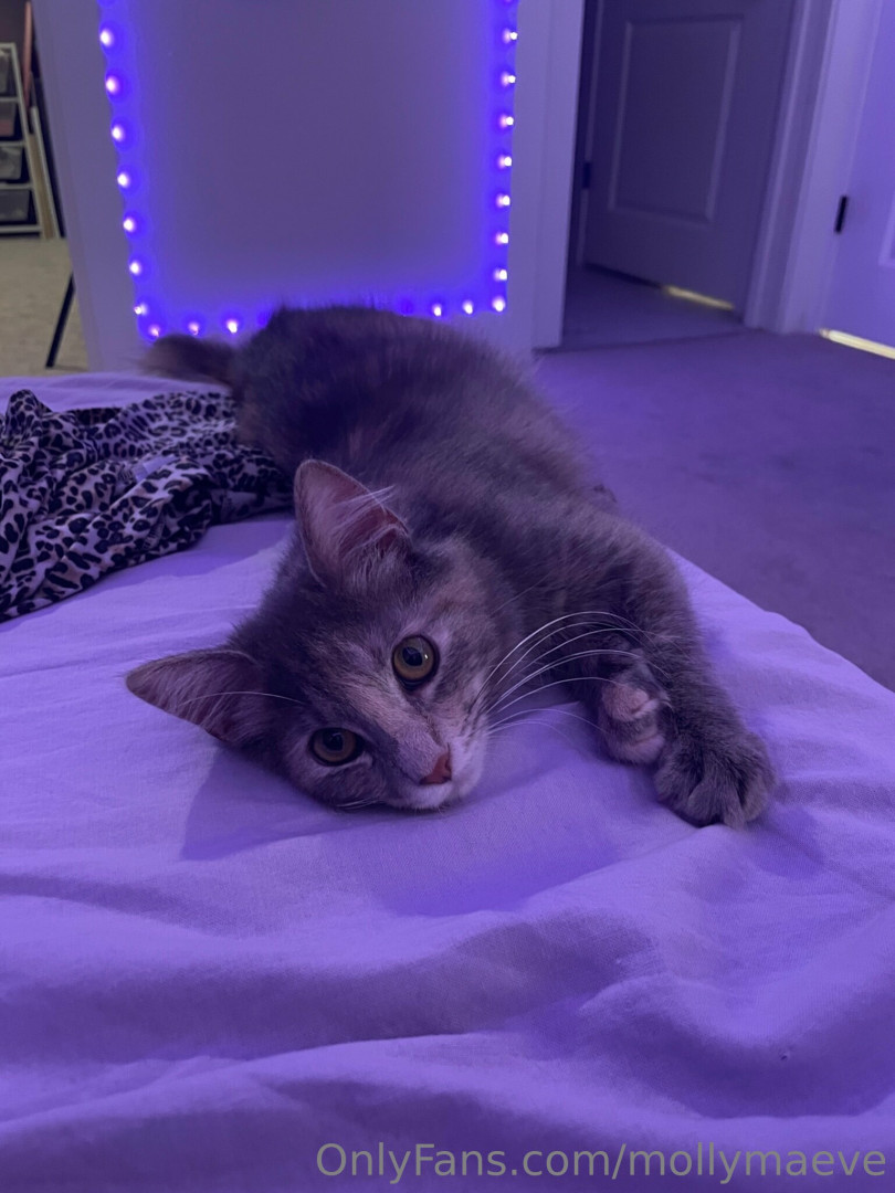 Photo by mollymaeve published on July 7,2023 04:56:06 - BestThots