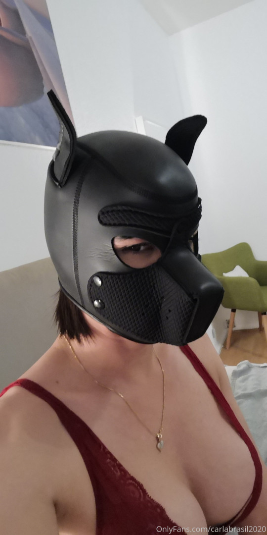 Photo by carlabrasil2020 published on June 10,2023 22:08:46 - BestThots