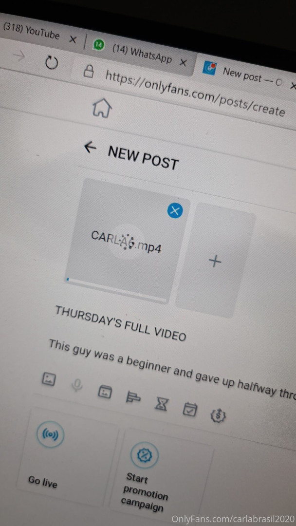 Photo by carlabrasil2020 published on June 10,2023 22:09:09 - BestThots