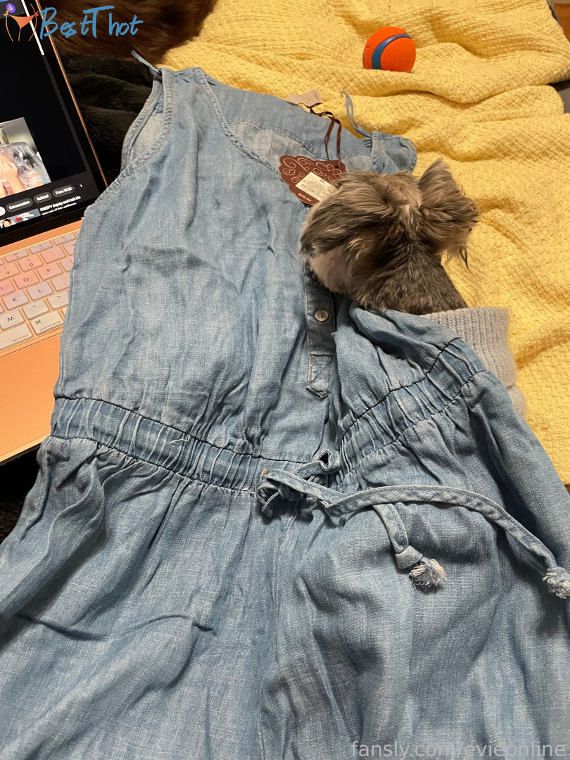 Photo by onlineevie published on January 27,2025 07:02:42 - BestThots