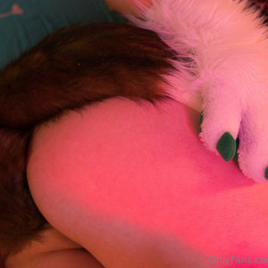 furry_foxxy #9316477