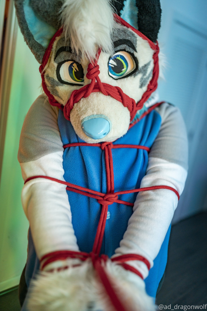 Photo by ad_dragonwolf published on November 20,2023 13:08:35 - BestThots