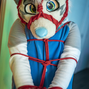 ad_dragonwolf #8398580