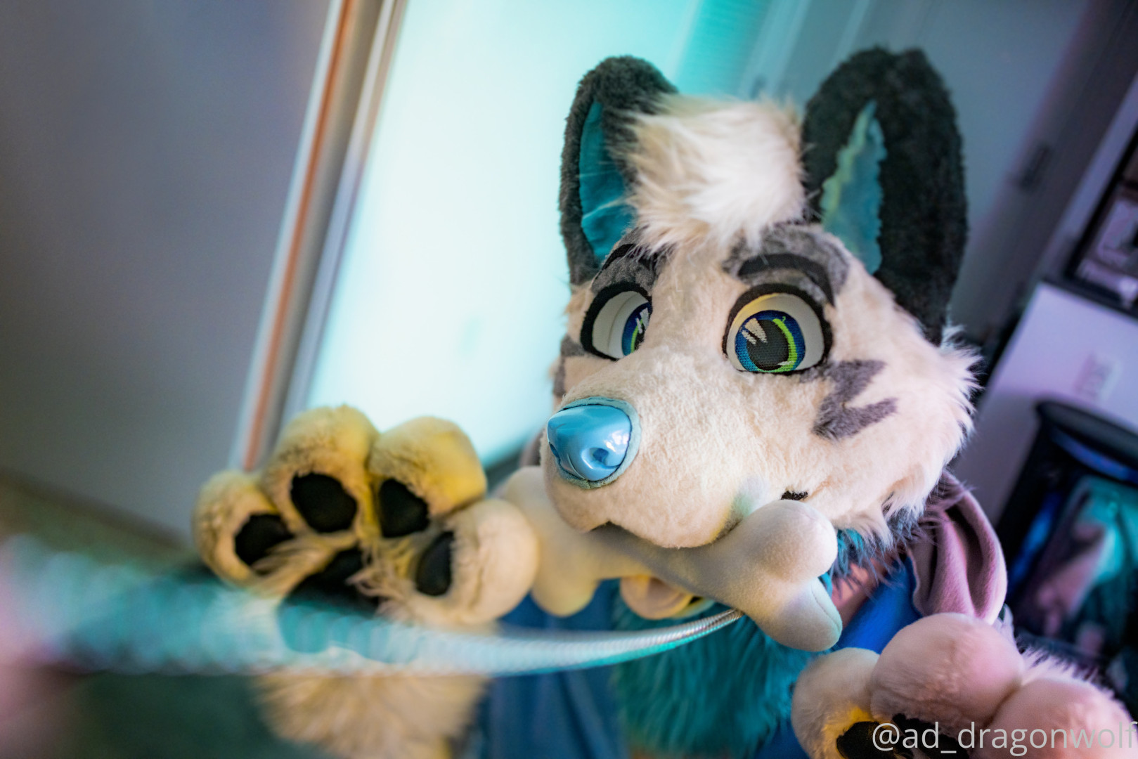 Photo by ad_dragonwolf published on November 20,2023 13:08:36 - BestThots