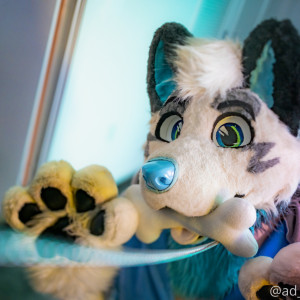 ad_dragonwolf #8398583