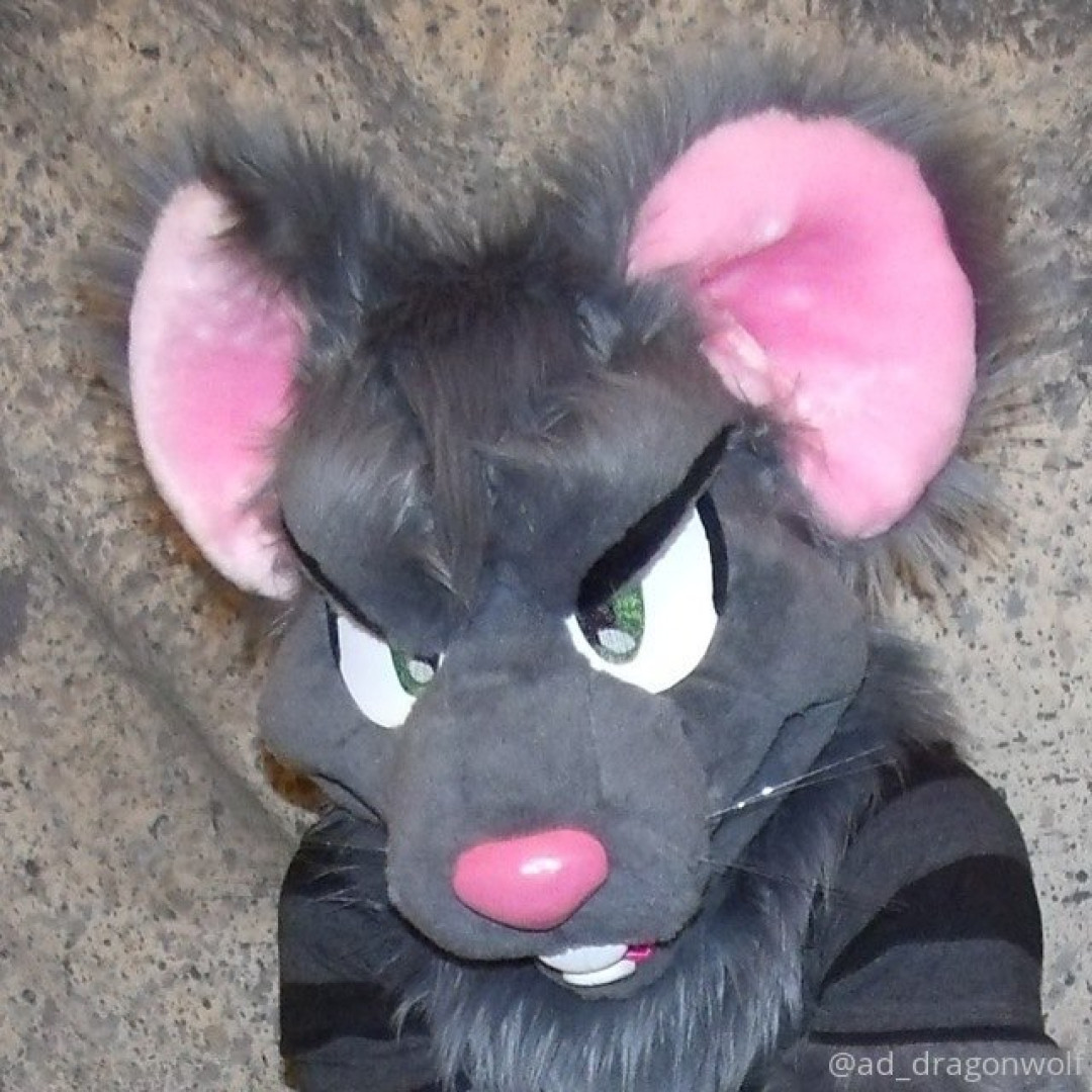 Photo by ad_dragonwolf published on November 20,2023 13:08:38 - BestThots