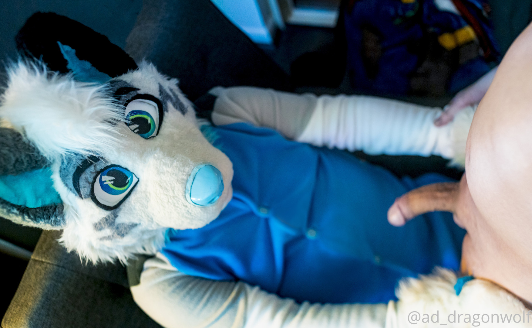 Photo by ad_dragonwolf published on November 20,2023 13:08:41 - BestThots