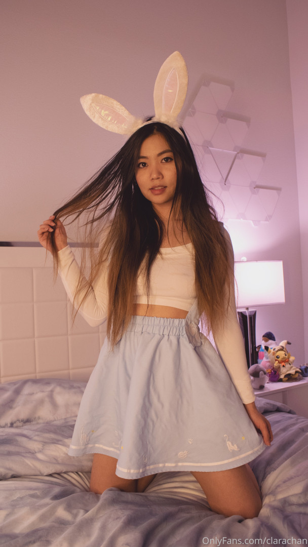Photo by clarachan published on June 10,2023 11:02:10 - BestThots