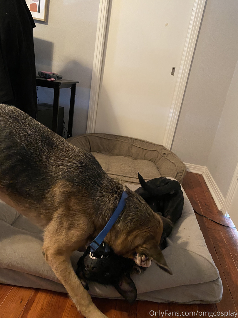 Photo by mags.irl published on June 26,2023 11:20:49 - BestThots