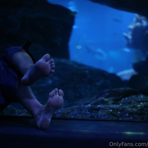 eurasian_feet #9340765