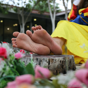 eurasian_feet #9340773